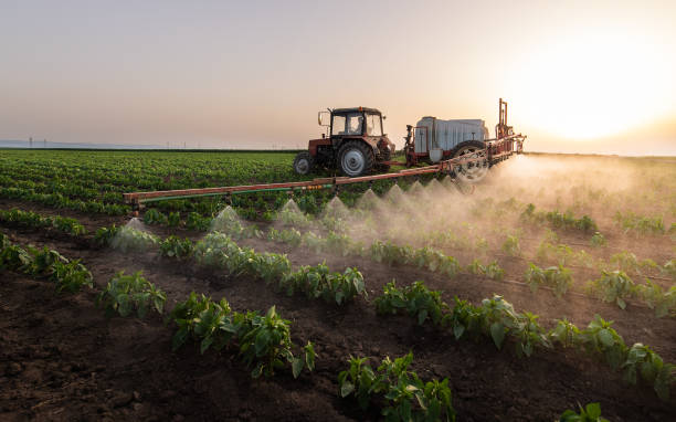 Best Commercial Pest Control Services  in Rio Communities, NM