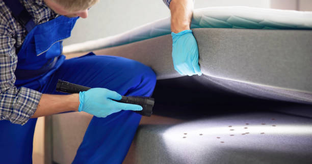 Best Emergency Pest Control  in Rio Communities, NM