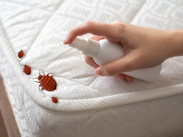 Best Pest Removal Services  in Rio Communities, NM