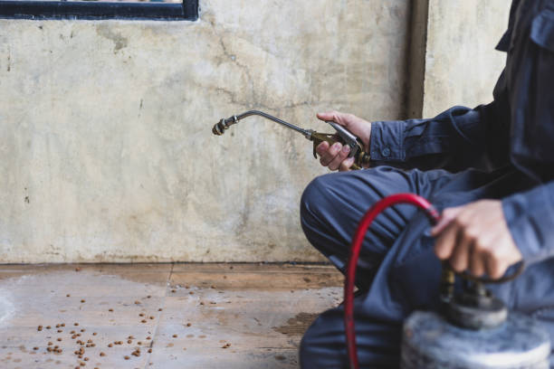 Best Exterminator Services  in Rio Communities, NM